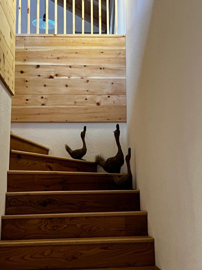 Ferienwohnung Luech Dl Finatzer Sankt Martin in Thurn Exterior foto
